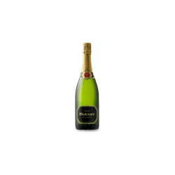 CAVA PARXET BRUT NATURE MAGNUM (B07)